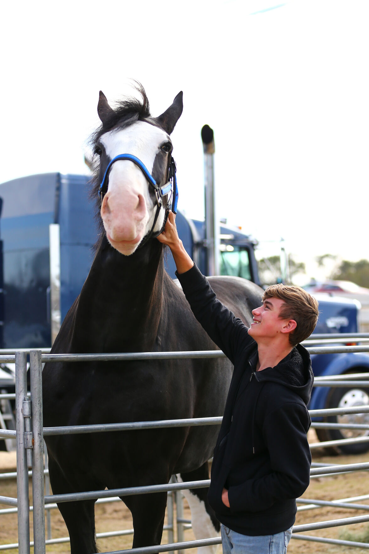 Express Clydesdales